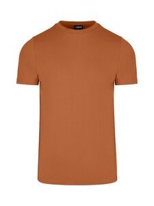 Ramo T802HB - Mens Slim Fit Tees Chestnut