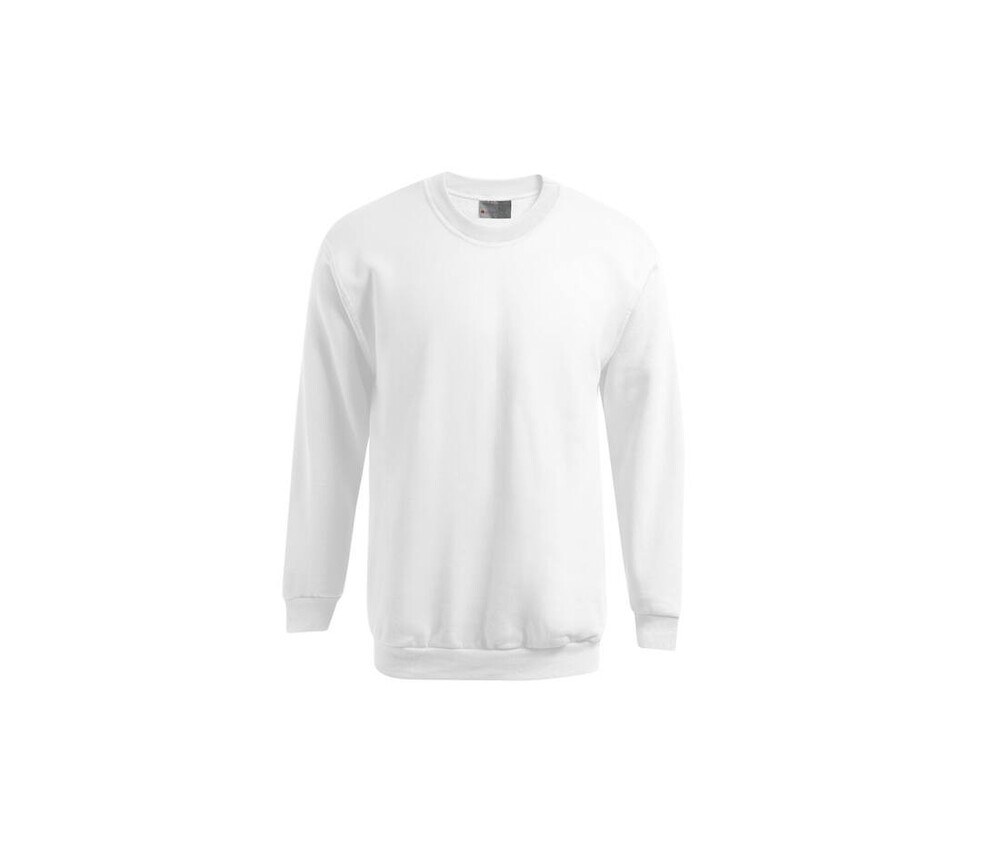 Men's-sweatshirt-320-Wordans